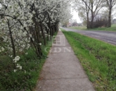 Eladó családi ház Szigetújfalu 15 900 000 Ft