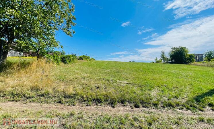 Eladó Zártkert Szőny-Béla-pusztán – Félpanorámával a Természet Kedvelőinek!
