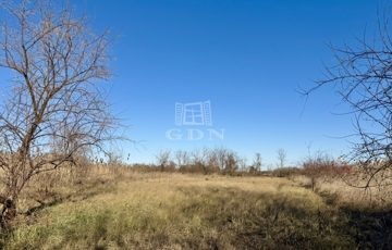 Eladó telek/földterület