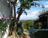 Eladó családi ház Zalaszabar 117 000 000 Ft