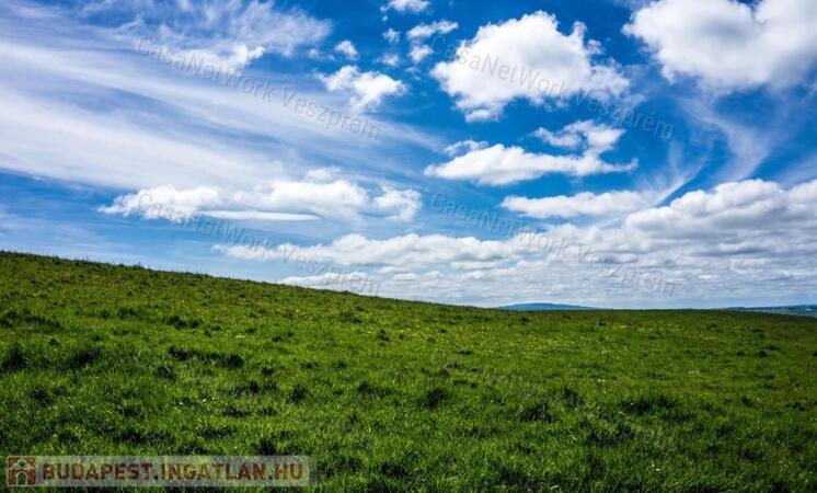 Eladó mezőgazdasági terület Veszprém vonzáskörzetében megfizethető áron!                                 