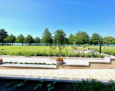 Eladó családi ház Környe 220 000 000 Ft