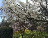 Eladó családi ház Budapest XXII. ker 320 000 000 Ft