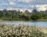 Mezőtúr belvárosához közel, a Berettyó partján építési telek eladó