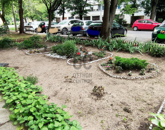 Eladó iroda/üzlethelyiség Debrecen 25 000 000 Ft