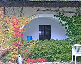 Ősfás birtok saját patakkal az erdő, a Nemzeti Park közepén