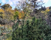 Eladó lakás Budapest II. ker 98 000 000 Ft