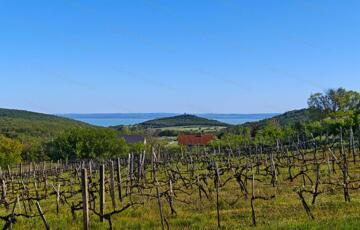 Eladó üdülő/nyaraló