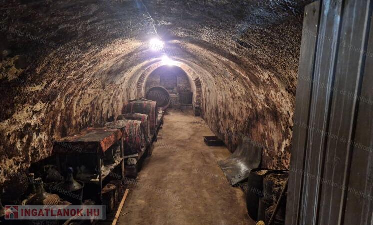 Eladó pince/présház Kesztölcön!