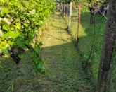 Eladó családi ház Érd 92 500 000 Ft