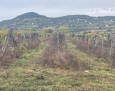 Eladó telek/földterület Zánka 24 951 000 Ft