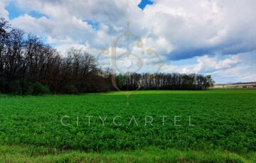 Eladó telek/földterület