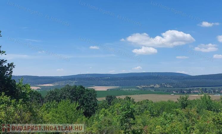 Eladó héregi zártkerti telek természetbarátoknak és nyugalomra vágyóknak                                 