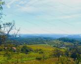 Részpanorámás szőlő terület