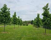 Utolsó építési telek a Balaton-felvidéki Nemzeti Park szívében