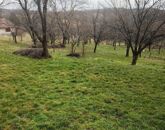 Eladó üdülő/nyaraló Zalaszentlászló 45 000 000 Ft