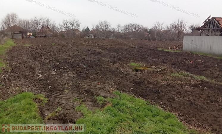 Törökszentmiklós alvégen lévő építési telek eladó                                 