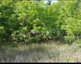 Eladó telek/földterület Csemő 4 700 000 Ft