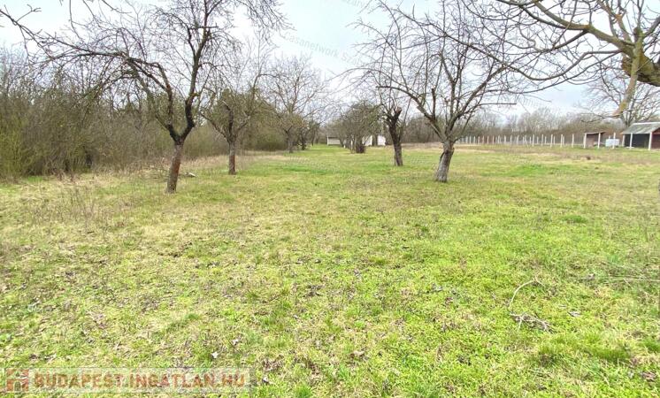 Gyomaendrődön, festői környezetben gyümölcsös, kert vált eladóvá                                 