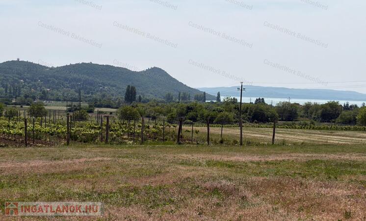 Panorámás SZŐLŐBIRTOK Balatonfüred és Aszófő között eladó