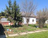 Cibakháza központjában felújítandó családi ház nagy portával eladó