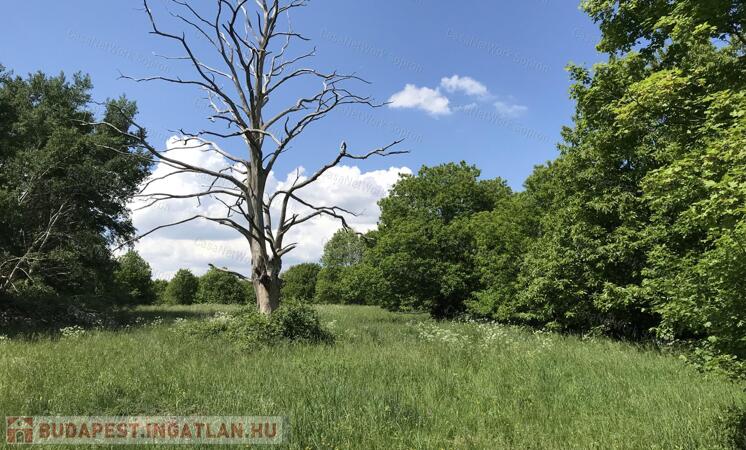Sopronban a belterület határán 3 hektáros telek eladó                                 