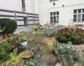 Eladó lakás Budapest XIII. ker 45 200 000 Ft