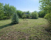 Eladó telek/földterület Sárszentmihály 30 000 000 Ft