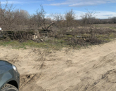 Eladó telek/földterület Pilis 5 500 000 Ft