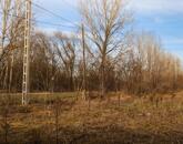 Eladó zöldterület, Tápiószentmárton