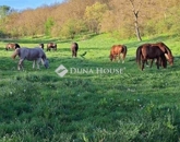 Eladó családi ház Egerág 159 000 000 Ft