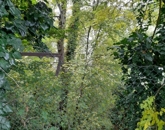 Eladó telek/földterület Göd 160 000 000 Ft