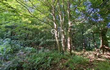 Eladó telek/földterület