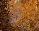 Tóparti halász telek