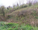 Eladó telek/földterület Zalaszentgrót 500 000 Ft