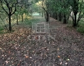 Eladó telek/földterület Tata 9 500 000 Ft