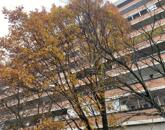 Szolnokon a Vitéz Szathmáry József úton  2 szobás lakás eladó!