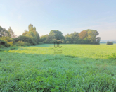 Eladó telek/földterület Kehidakustány 17 000 000 Ft