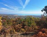 Erdőben, panorámás- eladó MEZŐGAZDASÁGI TERÜLET BALATONFÜREDEN