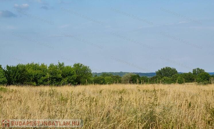 Eladó külterület Balatonalmádiban!                                 