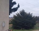 Abonyban eladó kertes családi ház!