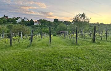 Eladó ipari ingatlan