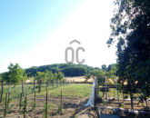 Eladó családi ház Alsónemesapáti 56 990 000 Ft