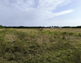 Eladó telek/földterület Debrecen 99 000 000 Ft