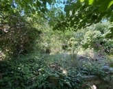 Eladó családi ház Szekszárd 51 000 000 Ft