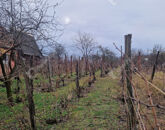 Eladó telek/földterület Komárom 7 500 000 Ft