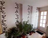 Eladó családi ház Monor 43 900 000 Ft