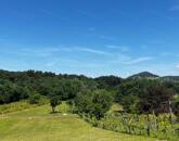 Eladó telek Zánka egyik legnyugodtabb részén!