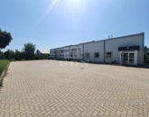 Kiadó ipari ingatlan Székesfehérvár 1 750 000 Ft