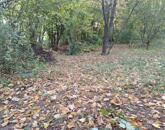 Eladó telek/földterület Solymár 69 900 000 Ft